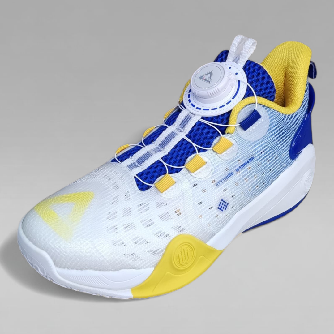 Peak Kids Basketball Shoes BOA Taichi AW3