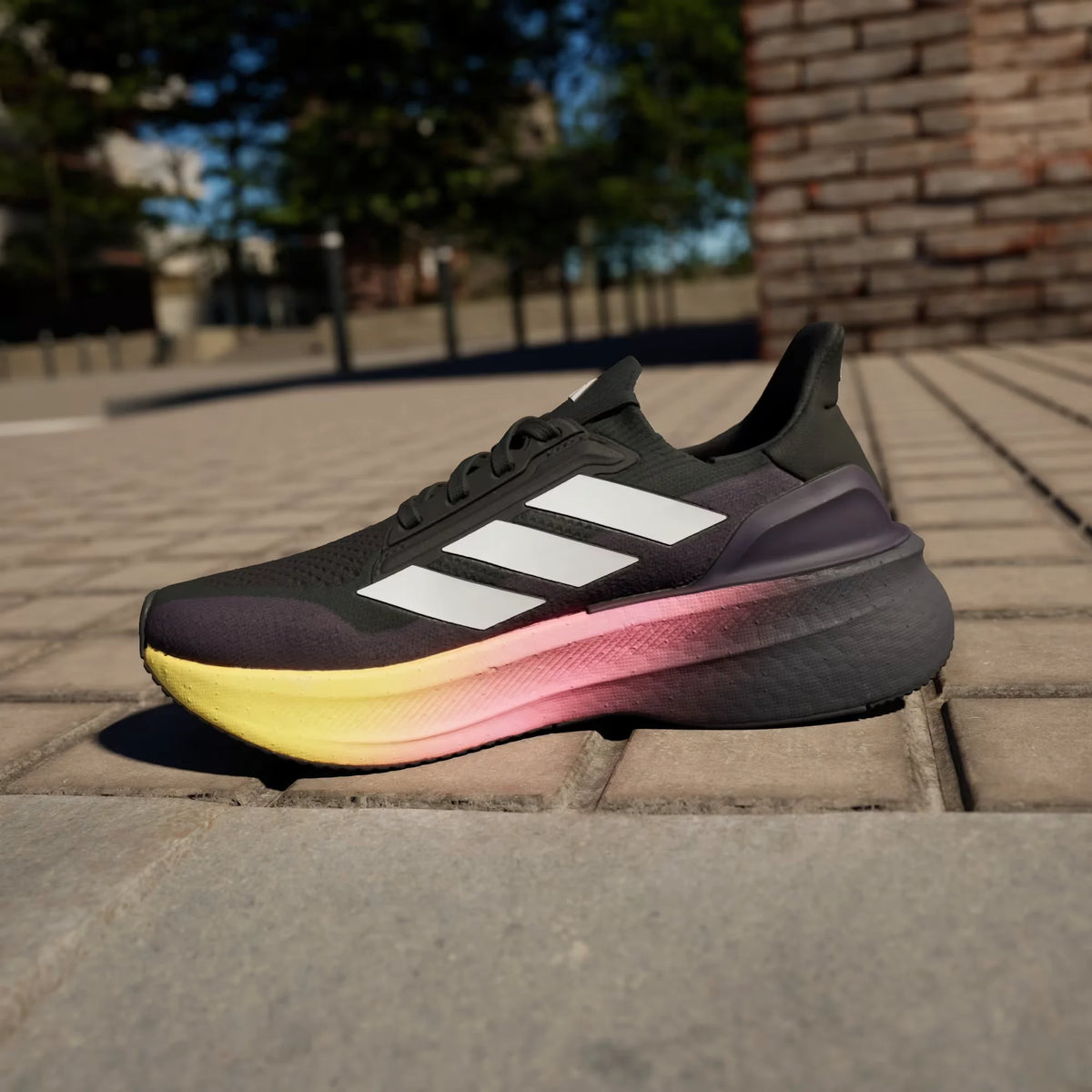 Adidas Women Running Shoes Ultraboost 5x Black Purple