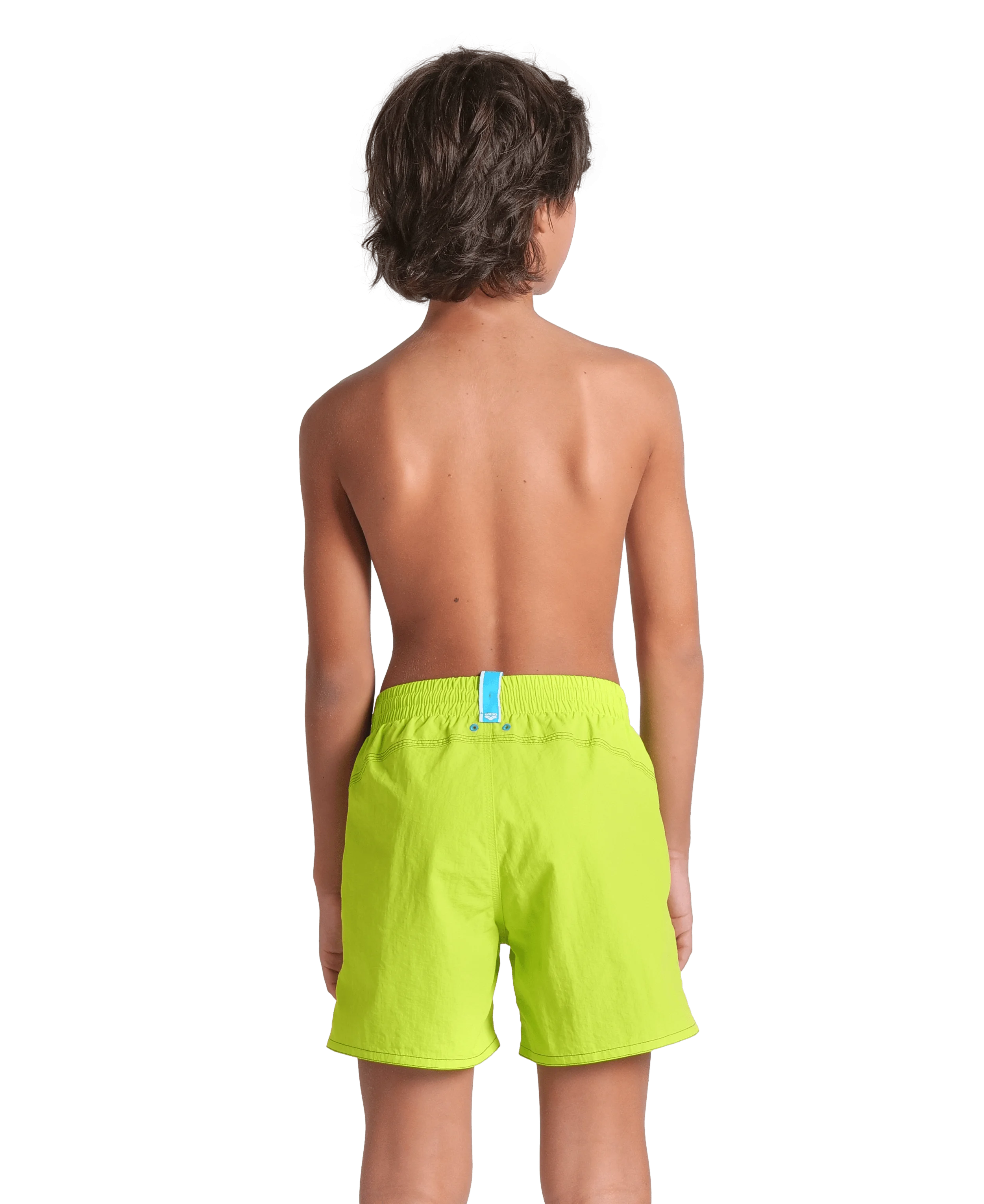 Arena Boys Beachwear Swim Boxers Logotype Artic Lime Mangrove 32cm
