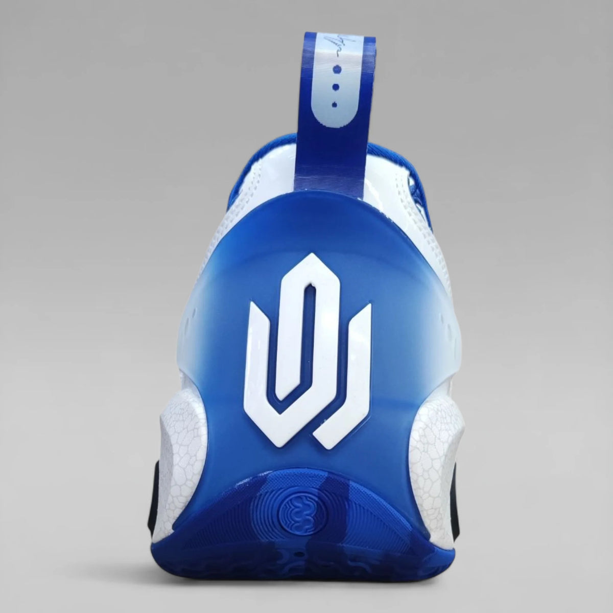 Peak Men Basketball Shoes Taichi AW3 Switch Limited Edition Blue And White Porcelain ET51063A