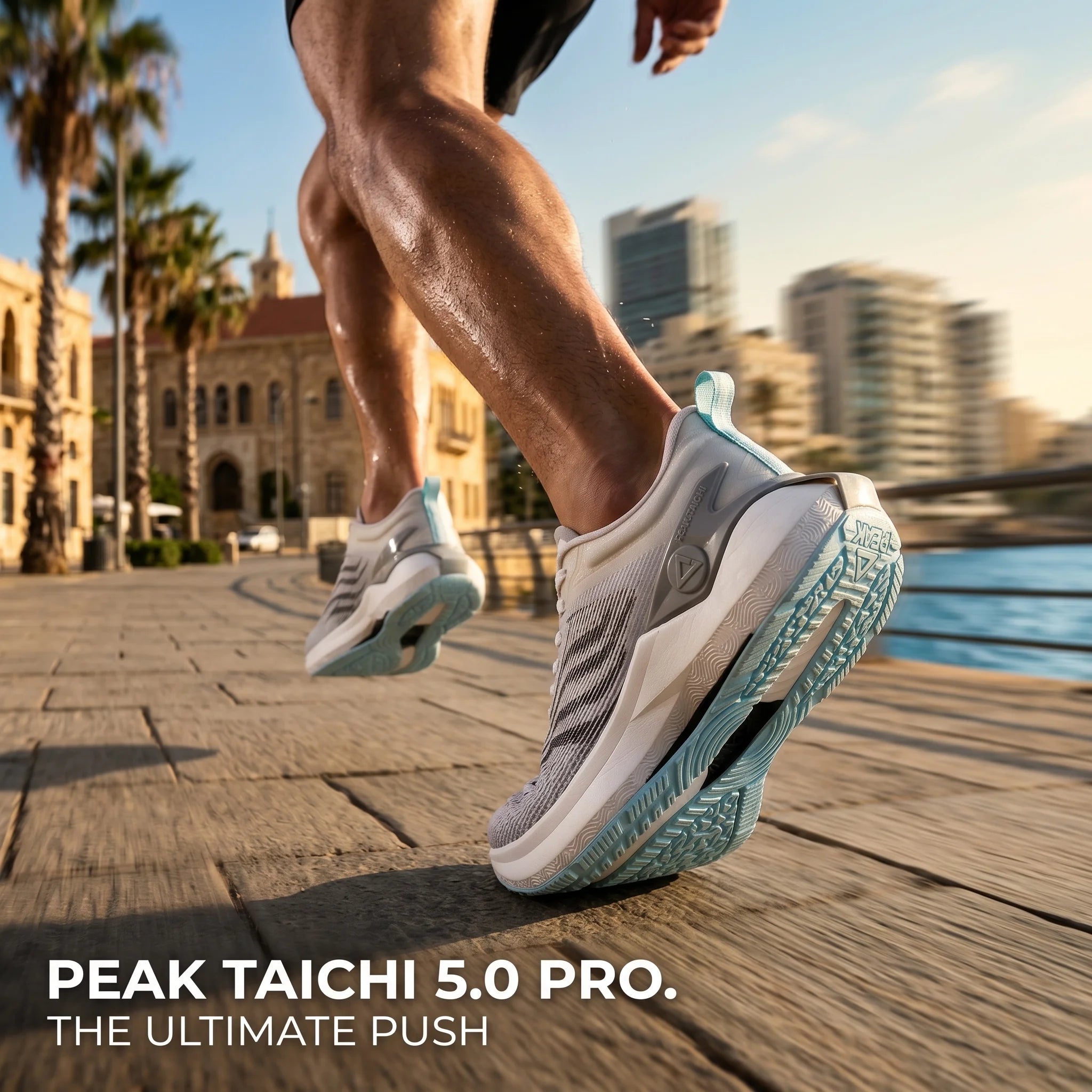 Peak Men Taichi 5.0 Pro Running Shoes